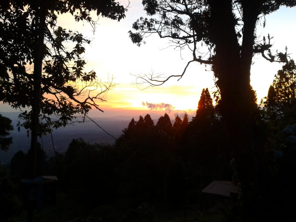 Lagunillas Del Poas Poasito Bilik gambar